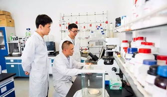 中国制造业第一县聚力互联网销售转型，新华日报头版头条聚焦产业升级新篇章